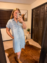 Dixie Denim Dress